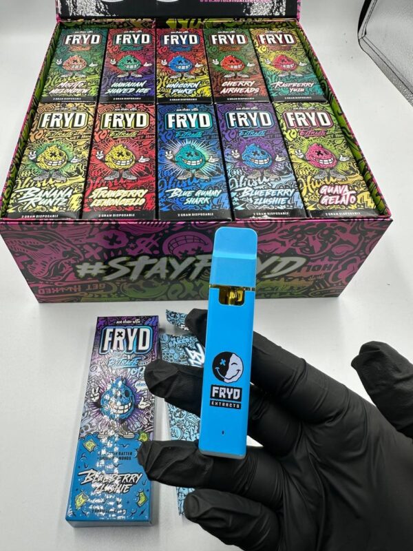 FRYD Donuts 2G Disposable