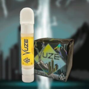 Vuze Extracts 1G Disposable