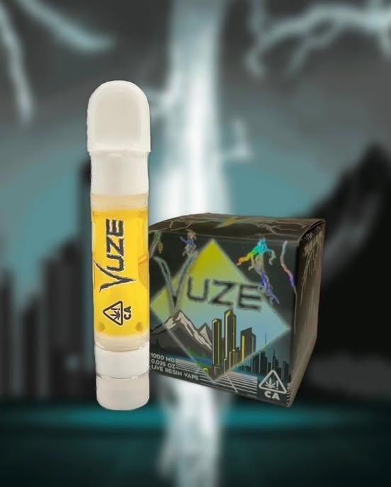 Vuze Extracts 1G Disposable