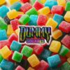 Dummy Squares Gummy