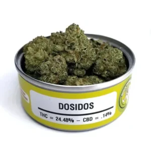 Space Monkey Meds - Dosidos