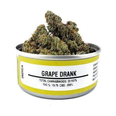 SPACE MONKEY MEDS CANS WHOLESALE BOX